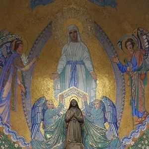 Meet your Posher, Noe